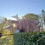 Дом отдыха Gaestehaus Rosenkamp